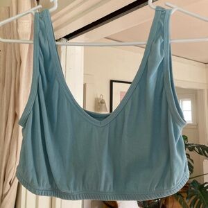 Big Bud Press bralette baby blue 1X